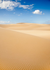 Obraz na płótnie Canvas stockton sand dunes