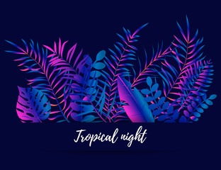 Summer night tropical design with palm leaves