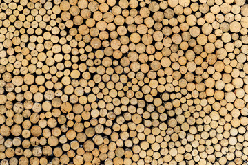Background from many slices of wood.