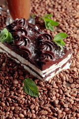 Delicious chocolate cake with mint.