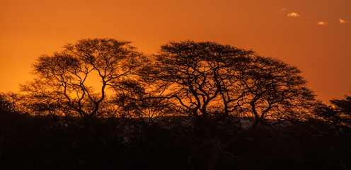 Sunset in Ndume Game Reserve