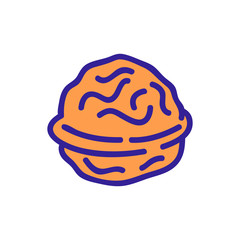 Nut icon vector. Thin line sign. Isolated contour symbol illustration