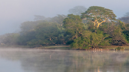 Early morning from the bird hide