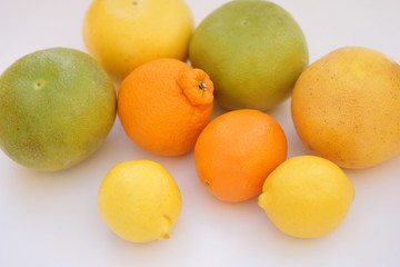 Fototapeta na wymiar 柑橘類