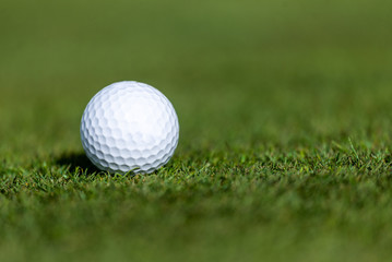 Golf Ball Sitting on Green Grass
