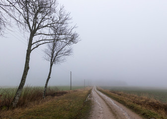 Fototapeta na wymiar Beautiful foggy nature of Latvia opens in the morning