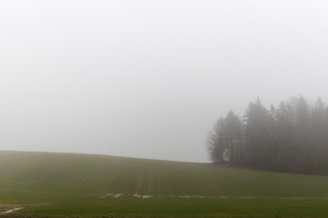 Obraz na płótnie Canvas Beautiful foggy nature of Latvia opens in the morning