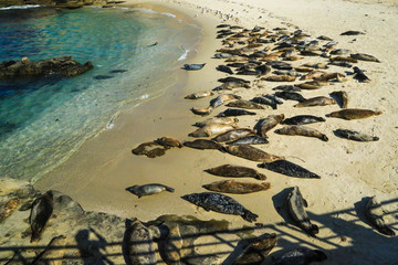 Highway 1, Pacific Coast Highway, California State Route 1 (California 1)