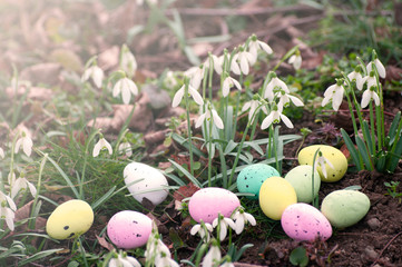 snowdrops and decorative eggs on a spring background. Easter composition.
