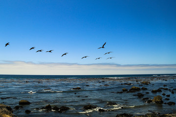 Highway 1, Pacific Coast Highway, California State Route 1 (California 1)