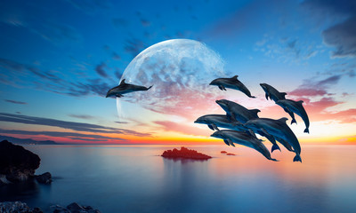 Silhoutte of beautiful dolphin jumping up from the sea at sunset with full moon 