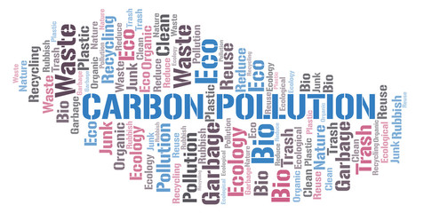 Carbon Pollution word cloud.