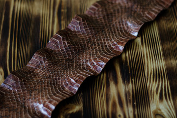 brown snake skin on wooden background