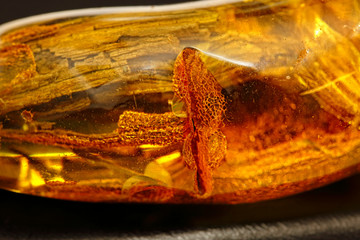Amber polished and transparent with a tree bark inside on a gray background. Inclusions in resin. Sun stone. Colored texture of natural mineral. Luxury background. Crystal Material for jewelers