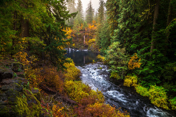 Tamolitch Blue Pool at Mc Kenzie Pass, Oregon, USA