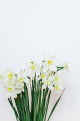 A little girl on a white background stands and holds branches of lilac, blooming kurst, lilac, spring and summer