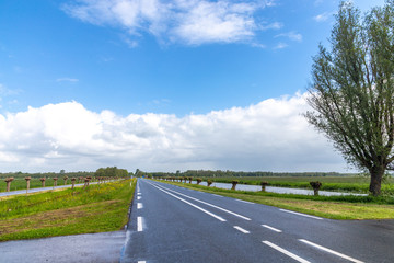 Rural landscape, water canals in the vicinity of Kinderdijk, the Netherlands