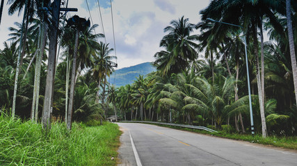 Obraz premium Road through the jungle on Ko Pha-ngan, Thailand
