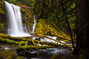 Downing Creek Falls, a Hidden Falls in Oregon