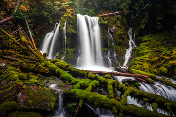 Obraz premium Downing Creek Falls, a Hidden Falls in Oregon
