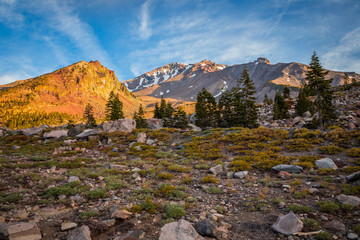 Mount Shasta Morning Views, Panther Meadow, Mt. Shasta California