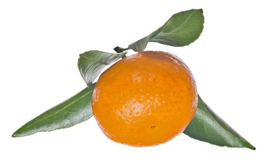 ripe isolated orange tangerine with four leaves