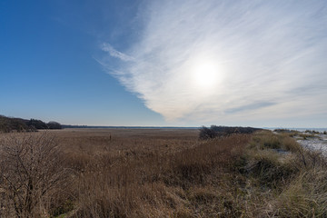 Fototapeta premium Moorlandschaft an der Ostsee