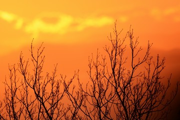 Natural beauty background material / Dawn silhouette.