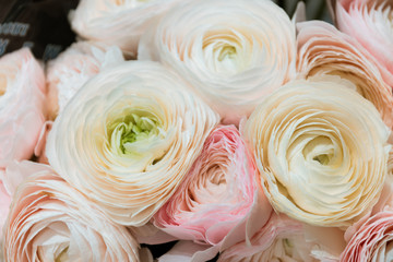 Flower Ranunculus bouquets backgrounds of bright variety of colors, beautiful details in one bouquet. Selective focus