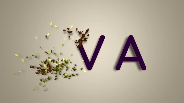 Name is Eva. The female name on a light background disappears flying in butterflies. Minimal graphics. 4k
