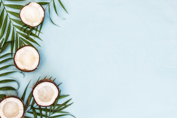 Tropical green leaves palm fronds and coconuts