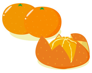 みかん　オレンジ