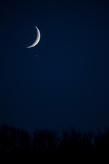 Obraz na płótnie Canvas New moon on a dark sky
