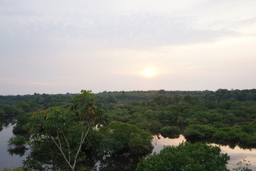 Amazon forest sanset wonderful landscape