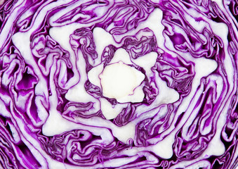 Close up image of a red cabbage section