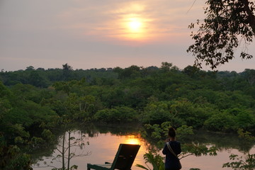 Amazon forest sanset wonderful landscape