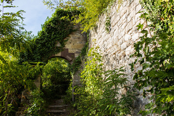Stairs leading to a archway in a old ancient ruin with a wall on the right covered with plants