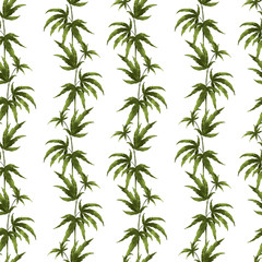 Digital illustration of beauty trending seamless pattern of green juicy hemp leaves on a white background. Print for fabrics, packaging, posters, banners, medical and beauty industry.