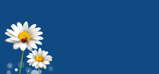 daisies and ladybug on classic 2020 blue color background