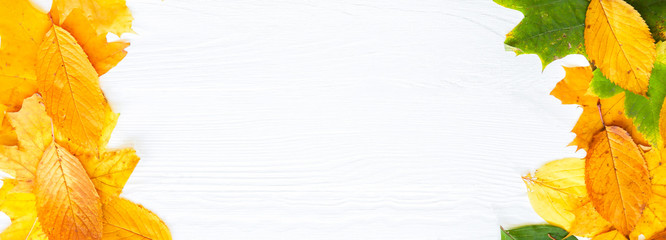 Real autumn leaves lying in a circle on white wooden background. Seasonal photo. Yellow and green colours with texture. Copy space place. November postcard.