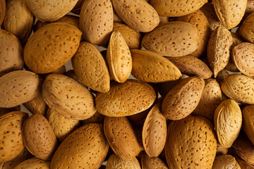 a lot of nuts close-up. unpeeled almonds. natural background for healthy eating concept