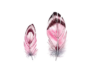 Watercolor feather set. Realistic painting with two vibrant wings. Boho style illustration isolated on white. Bird fly design for T-shirt, invitation, wedding card