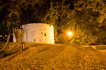 Ścieżka do zamku w parku w nocy