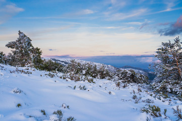 Snowy landscape at sunset