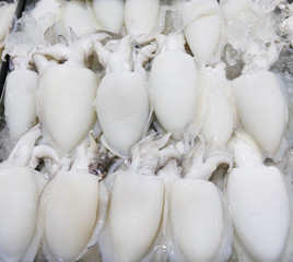 Fresh squids