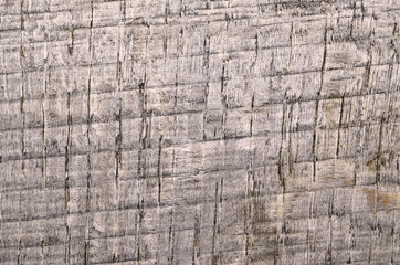 Wood texture