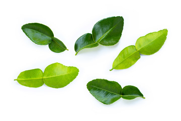 Bergamot kaffir lime leaves herb fresh ingredient isolated on white