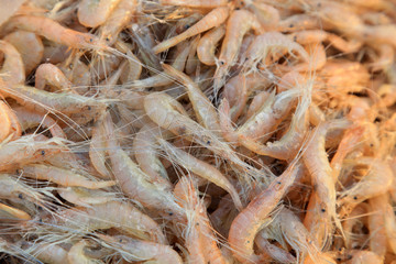 Piles of shrimp