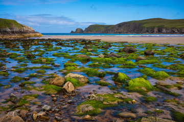 Green seaweed covers rocks along the beach of Port Swingo in the Scottish Highlands, United Kingdom during a bright summer day.  © Jonathan W. Cohen 