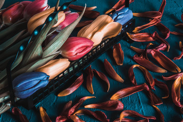 dramatic composition of tulips in a basket of metal
